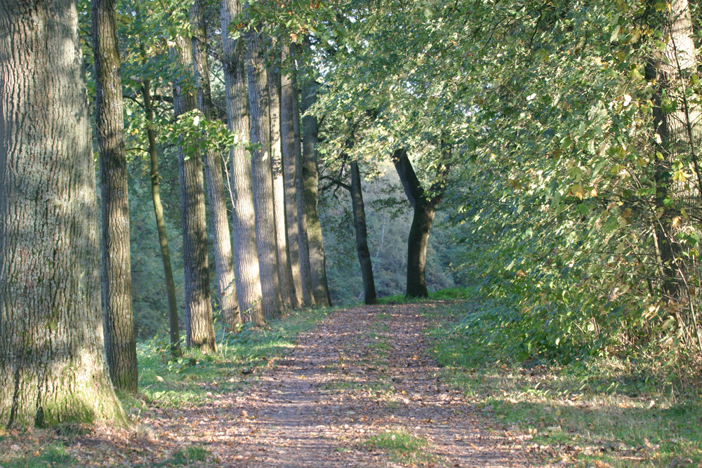 Elbergen-Nordhorn