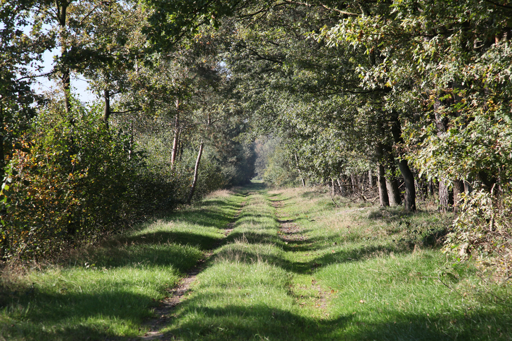 Schüttorf - Engden